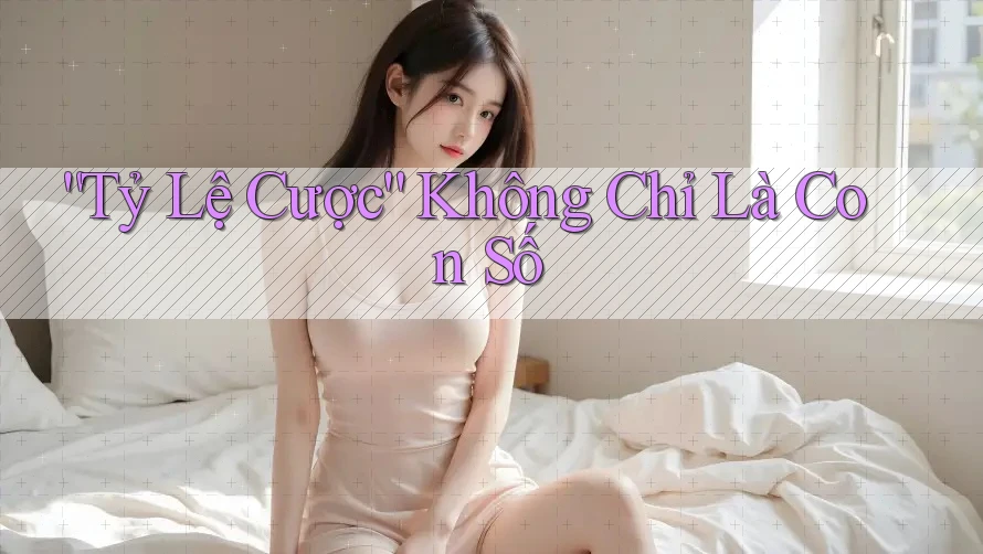 Tỷ Lệ Cược Không Chỉ Là Con Số Tỷ Lệ Cược Không Chỉ Là Con Số